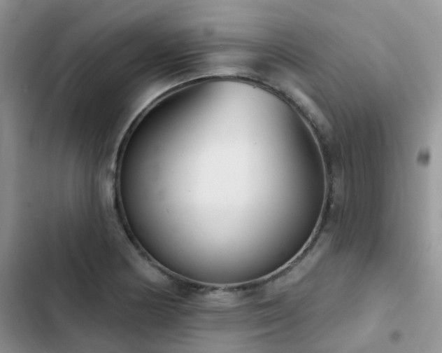 X0000102871178200808181459