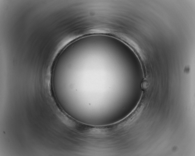 X0000102871179200808181459