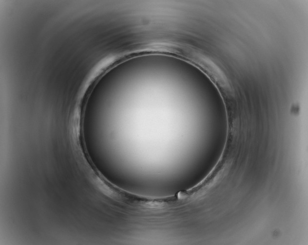X0000102871180200808181459