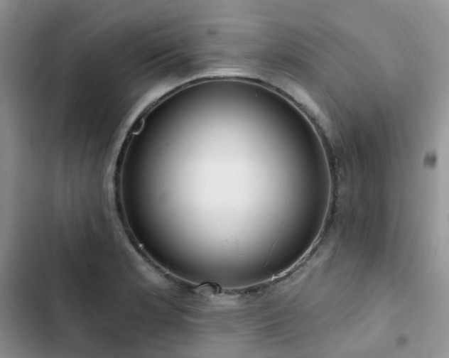 X0000102871181200808181459