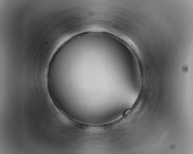 X0000102871183200808181459