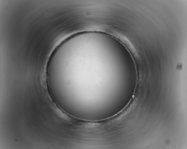 X0000102871184200808181459
