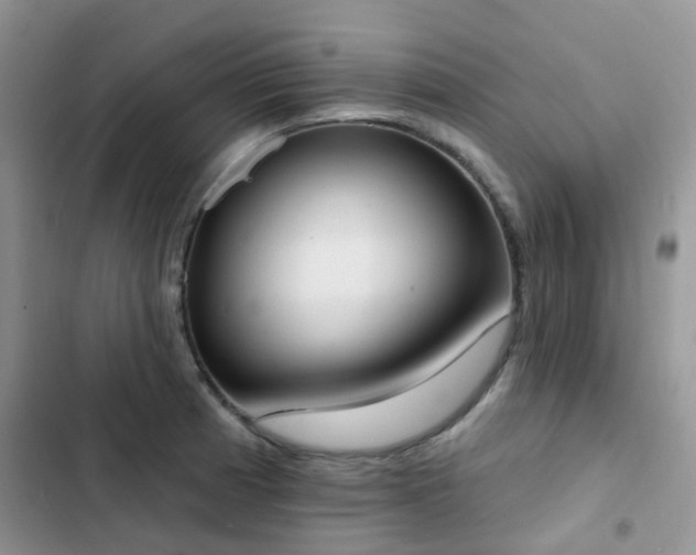 X0000102871185200808181459
