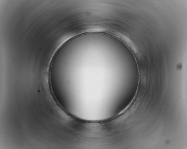 X0000102871186200808181459