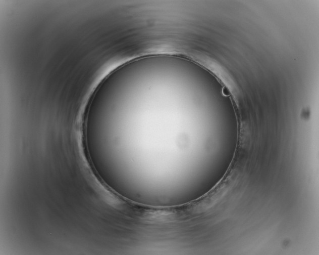 X0000102871187200808181459