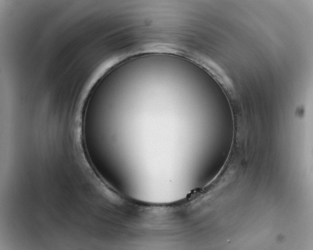 X0000102871188200808181459