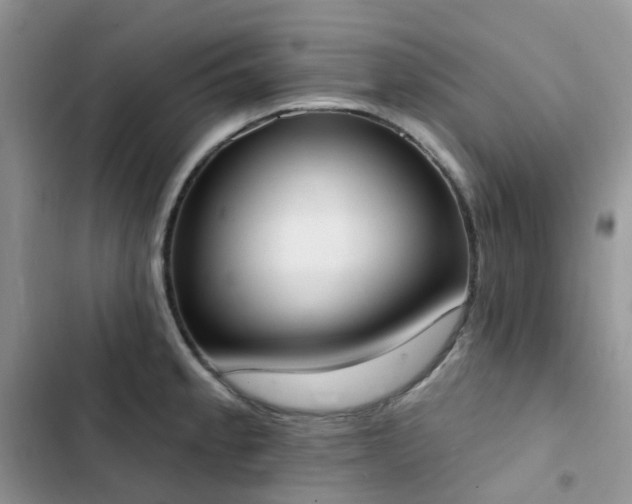 X0000102871189200808181459