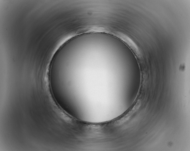 X0000102871190200808181459
