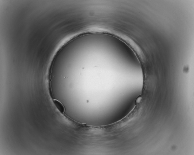 X0000102871191200808181459