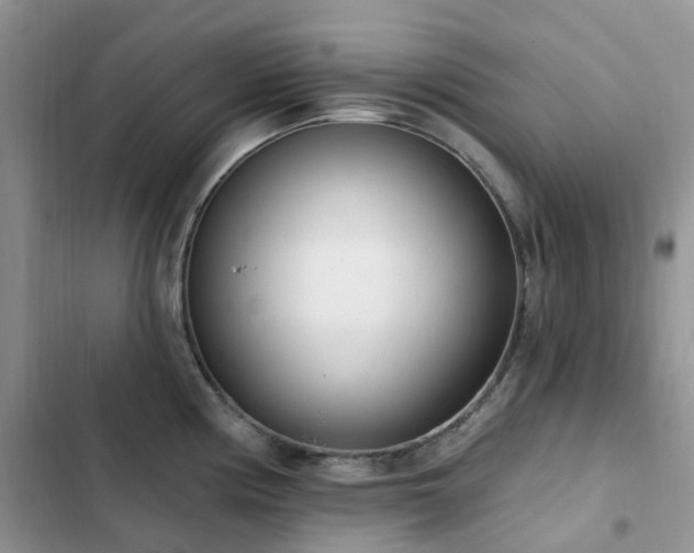 X0000102871194200808181459