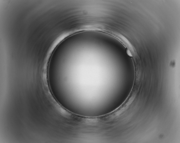 X0000102871196200808181458