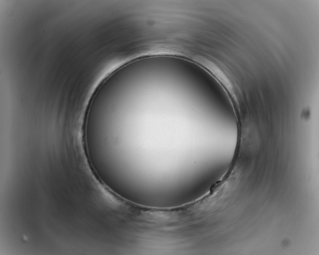 X0000102871197200808181458