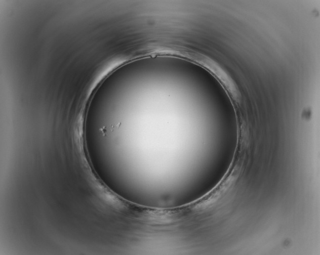 X0000102871198200808181458