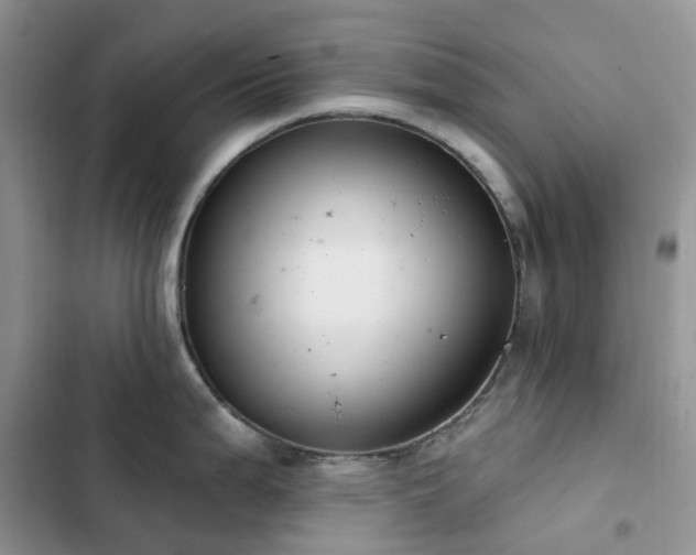X0000102871199200808181458
