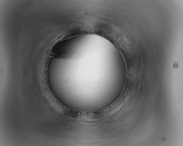 X0000102871201200808181458