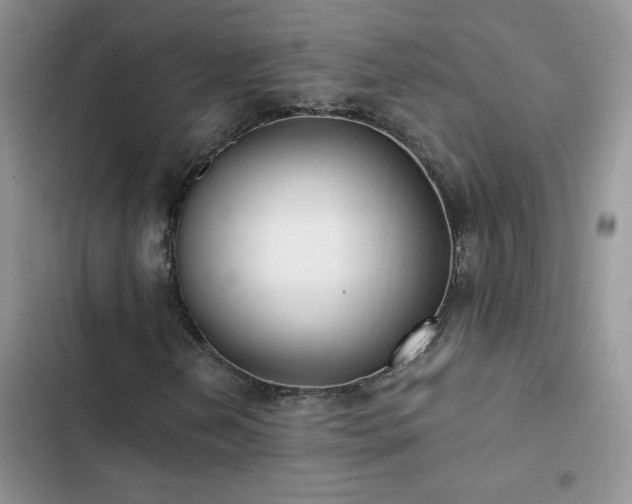 X0000102871202200808181458