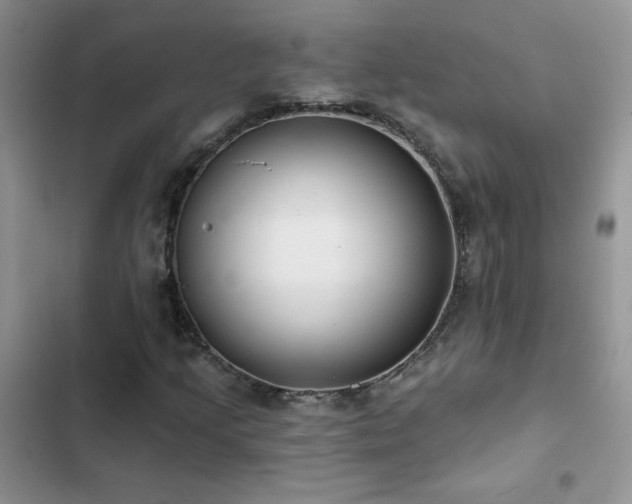 X0000102871205200808181458