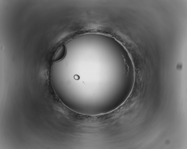 X0000102871206200808181458