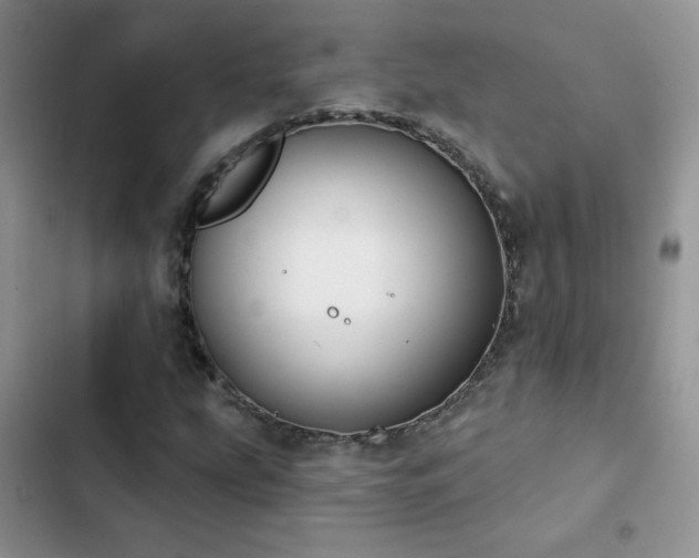 X0000102871207200808181458