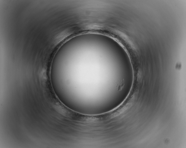 X0000102871209200808181458