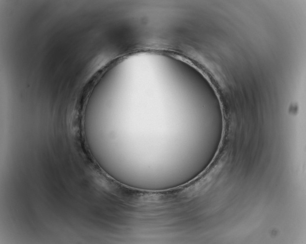 X0000102871211200808181458