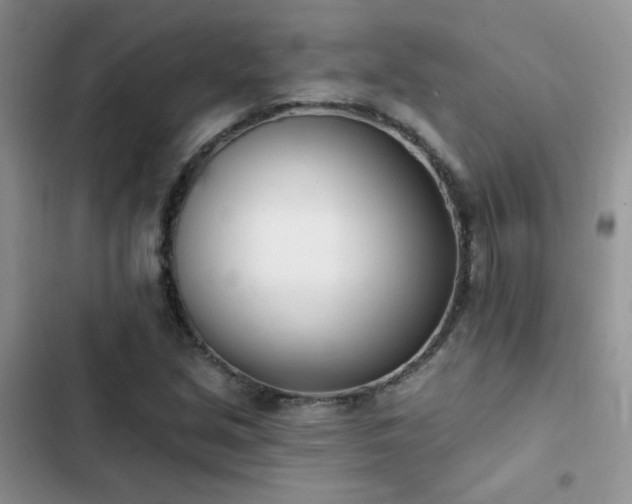 X0000102871213200808181458