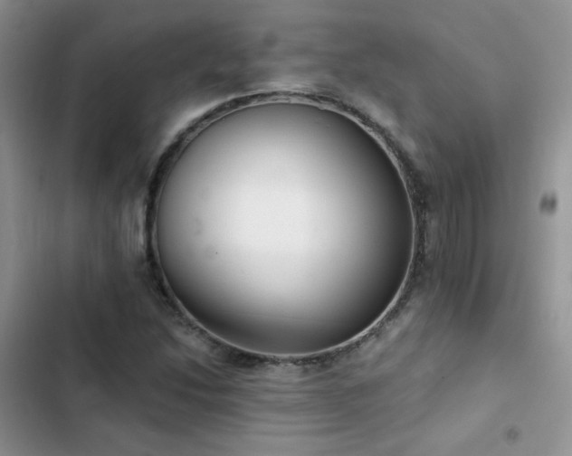 X0000102871214200808181458