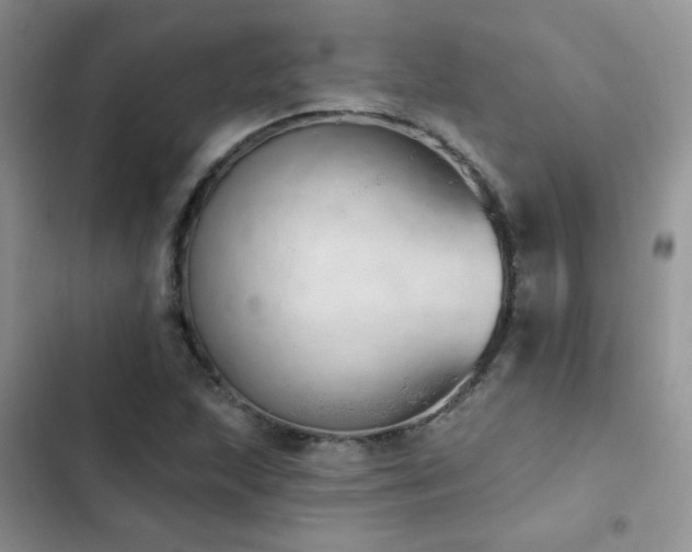 X0000102871215200808181458