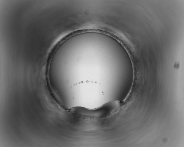 X0000102871216200808181458