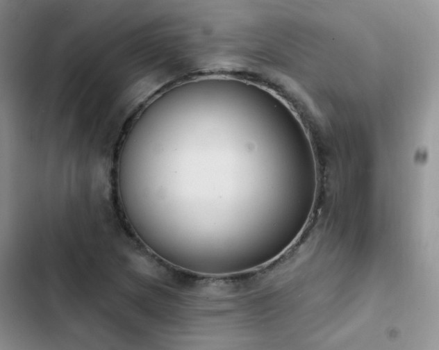 X0000102871217200808181458