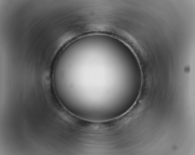 X0000102871218200808181458