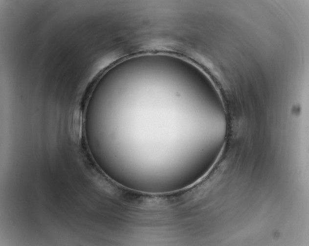 X0000102871219200808181458