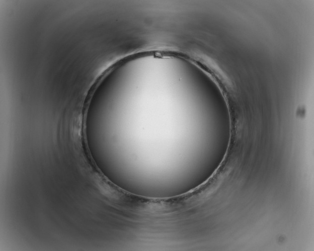 X0000102871220200808181458