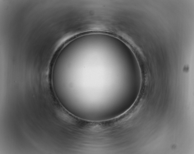 X0000102871222200808181458