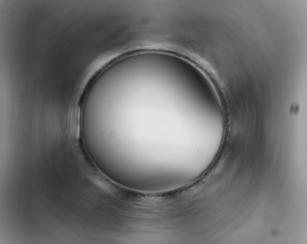 X0000102871223200808181458