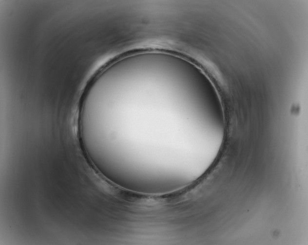 X0000102871224200808181458