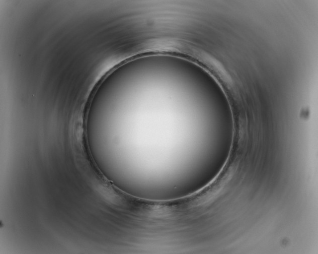 X0000102871226200808181458
