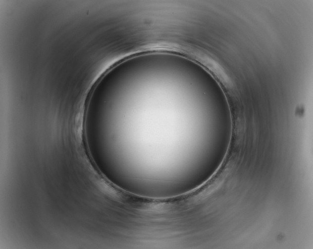 X0000102871228200808181458