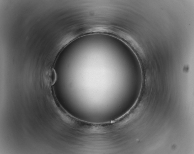 X0000102871233200808181458