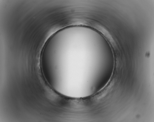X0000102871234200808181458