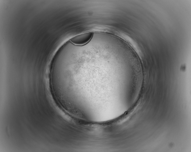 X0000102871235200808181458