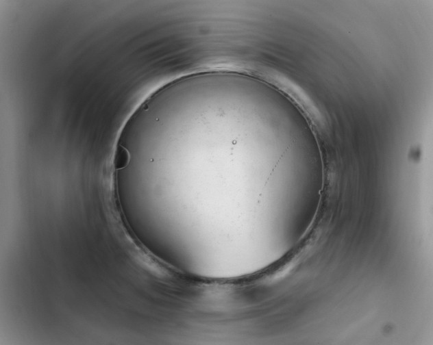 X0000102871236200808181458