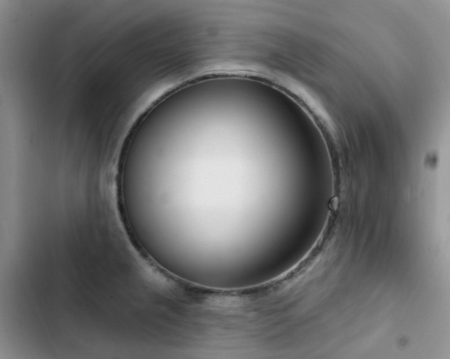 X0000102871237200808181458