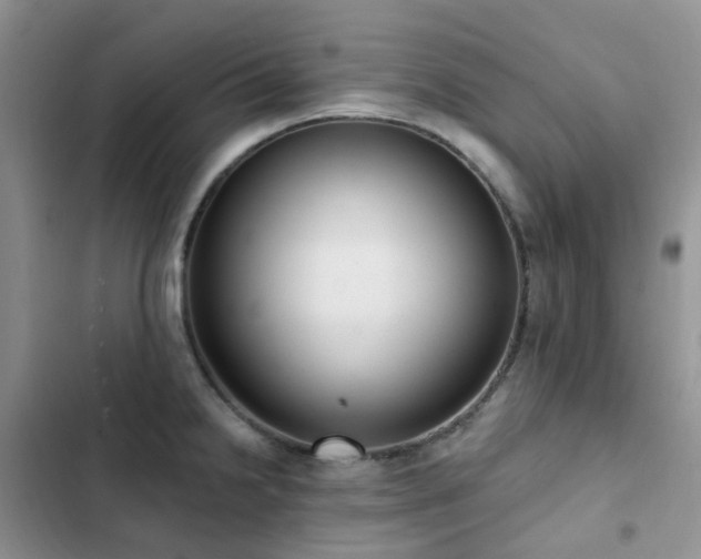 X0000102871238200808181458