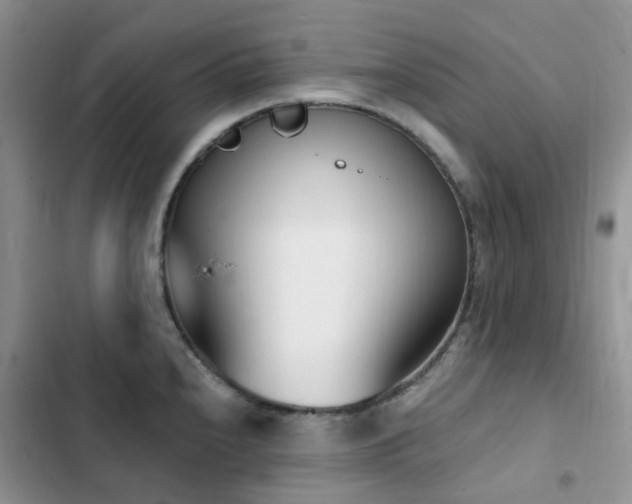 X0000102871240200808181458