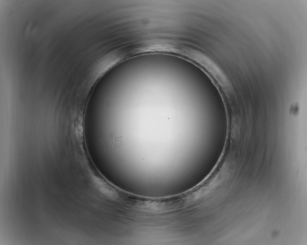 X0000102871241200808181458