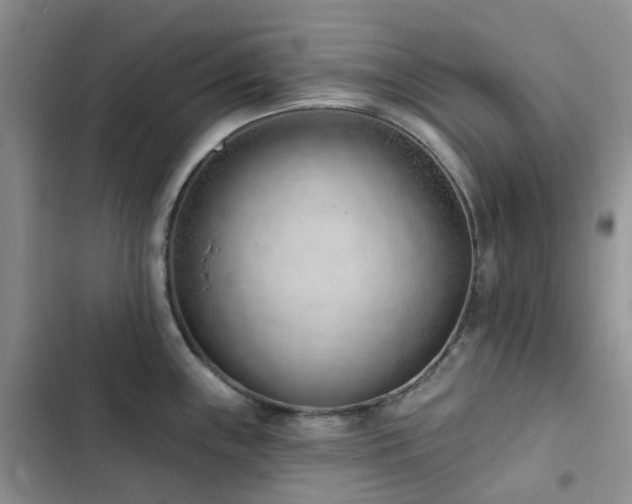 X0000102871243200808181458