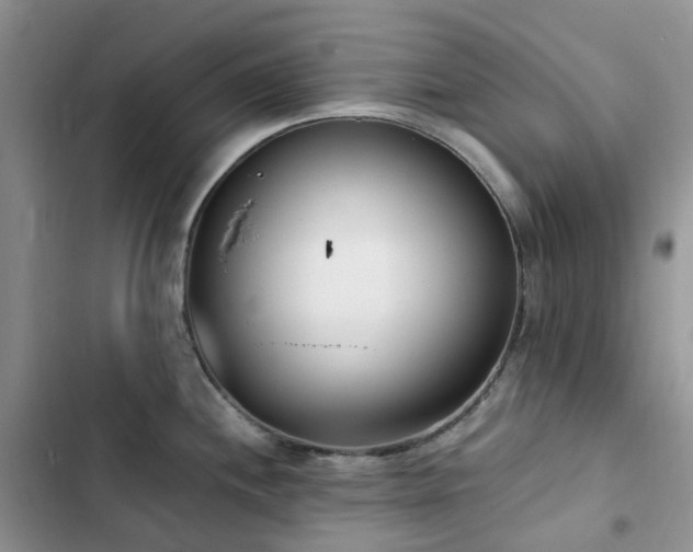 X0000102871244200808181458