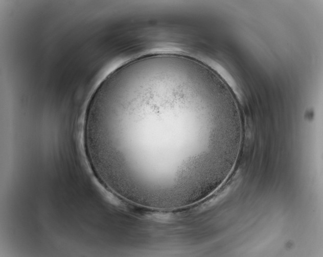 X0000102871245200808181458