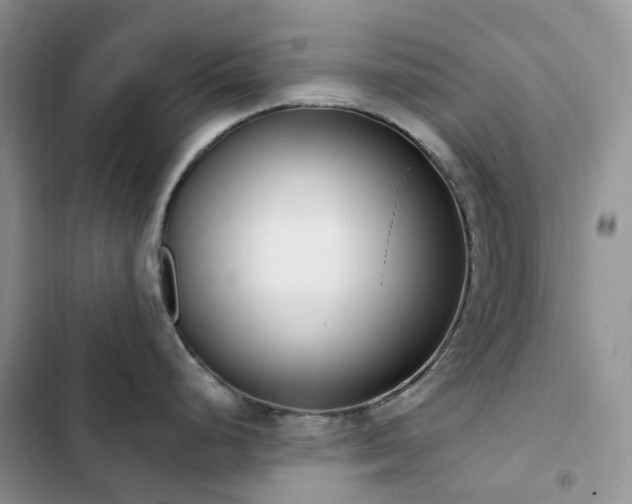 X0000102871248200808181458